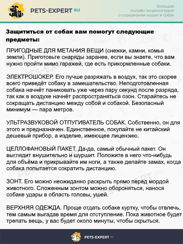 что нужно делать если на вас нападает собака. Смотреть фото что нужно делать если на вас нападает собака. Смотреть картинку что нужно делать если на вас нападает собака. Картинка про что нужно делать если на вас нападает собака. Фото что нужно делать если на вас нападает собака