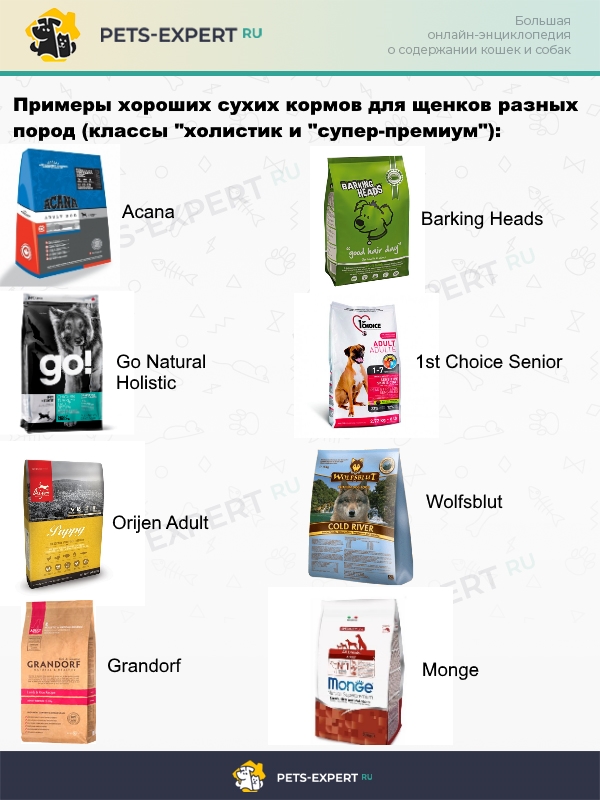 Сухие корма, набравшие больше всего положительных отзывов ветеринаров и владельцев собак