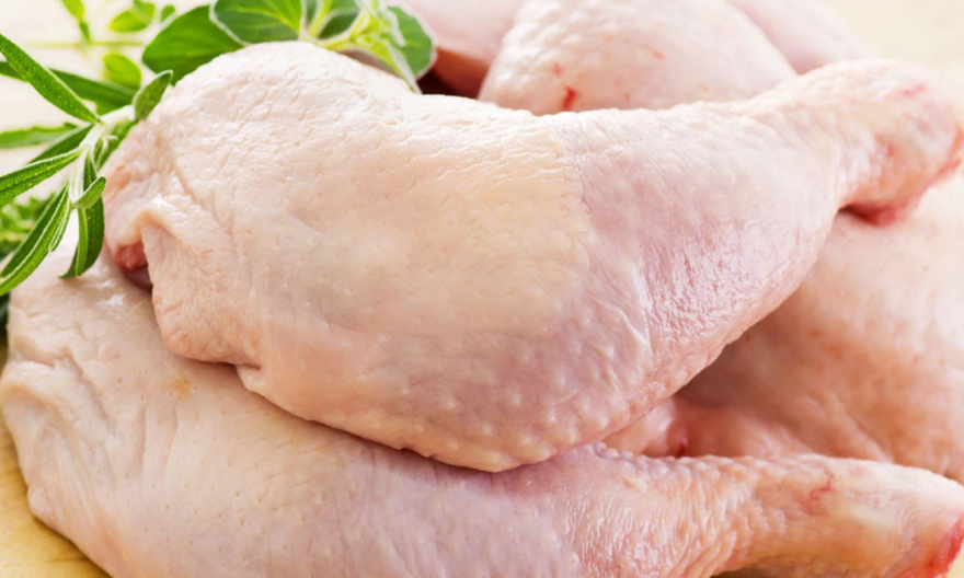 Аллергия на курятину среди йоркширских терьеров не редкость