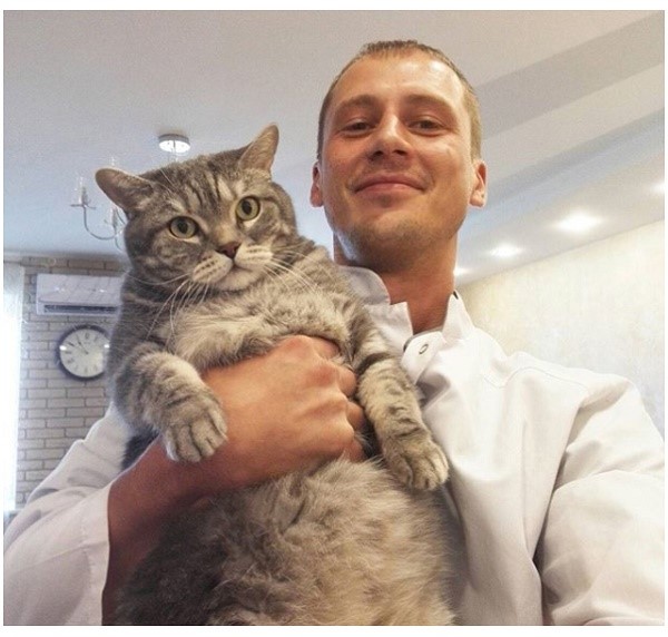 Ветеринар сможет прописать адекватную профилактику акне для вашего кота