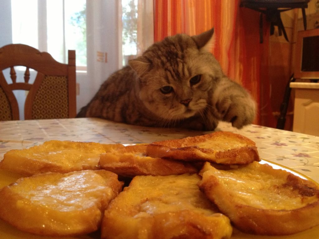 Заинтересовать кота могут даже те блюда, которые он никогда бы не съел в обычных условиях