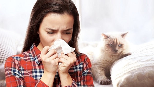 Какие методы выявления аллергии на кошек доступны сегодня?