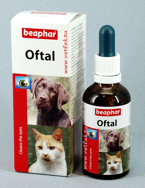 Капли Офталь для лечения и промывания глаз у котят