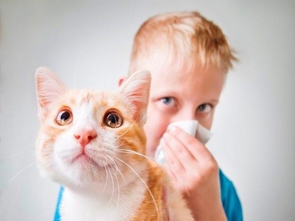 Маленьким детям проходить процедуру аллерген-специфической иммунотерапии запрещено