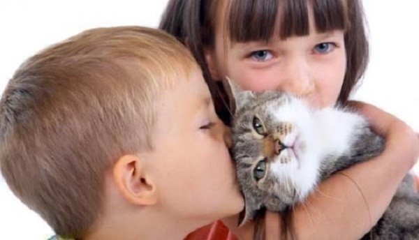Если ваш ребенок начал контактировать с кошкой в раннем возрасте, он может быть подвержен аллергии, однако, намного меньше, чем его сверстники, которые никакой предрасположенности к этому не имеют