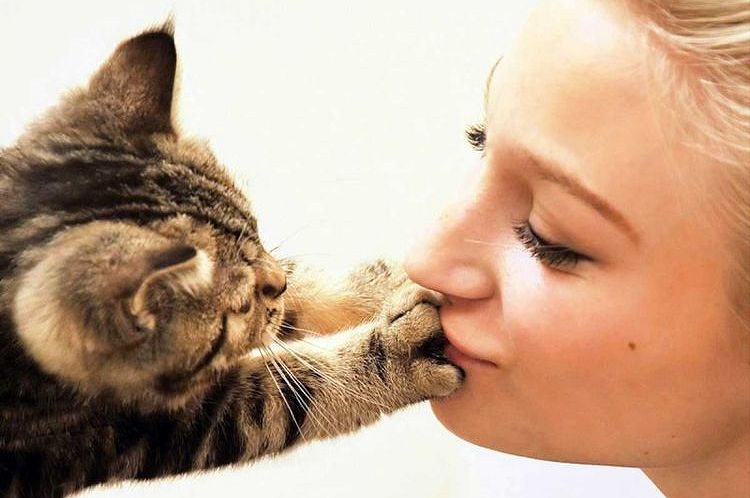 От многих проявлений нежности по отношению к коту аллергикам, к сожалению, придется отказаться