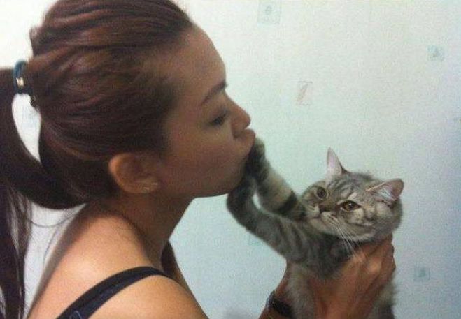 Далеко не каждой кошке нравится когда ее целуют