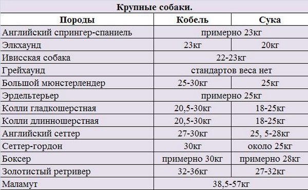 Нормальный вес крупных собак
