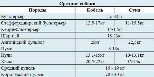 Нормальный вес средних собак