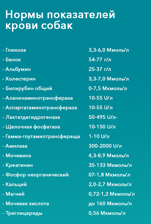 Нормы показателей крови собак