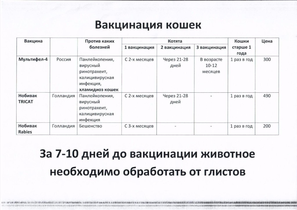 Периоды вакцинации кошек