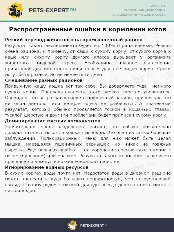 что нужно давать кошке чтобы она поправилась. Смотреть фото что нужно давать кошке чтобы она поправилась. Смотреть картинку что нужно давать кошке чтобы она поправилась. Картинка про что нужно давать кошке чтобы она поправилась. Фото что нужно давать кошке чтобы она поправилась