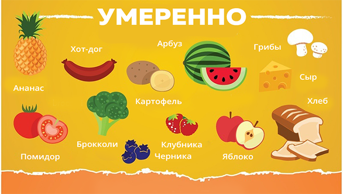 Что можно давать собаке в умеренном количестве