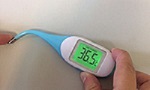 Сколько кошке измерить температуру