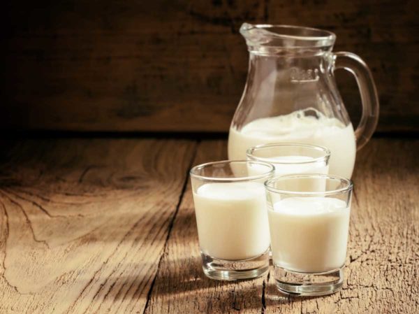 Молоко для взрослых овчарок – под запретом
