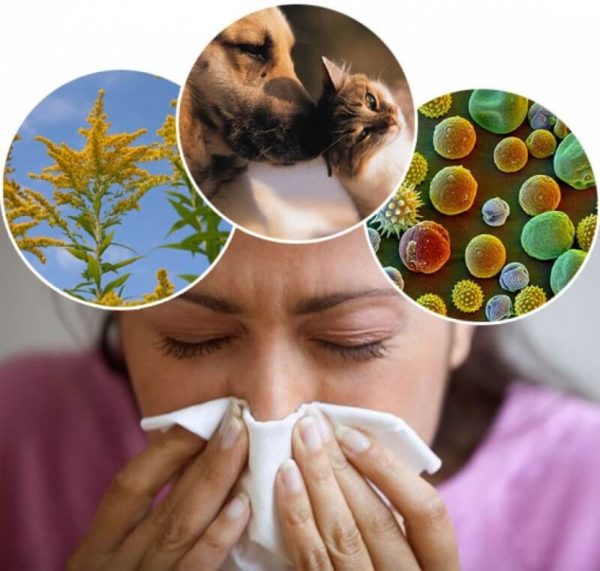 Человек может страдать аллергией на тысячи веществ