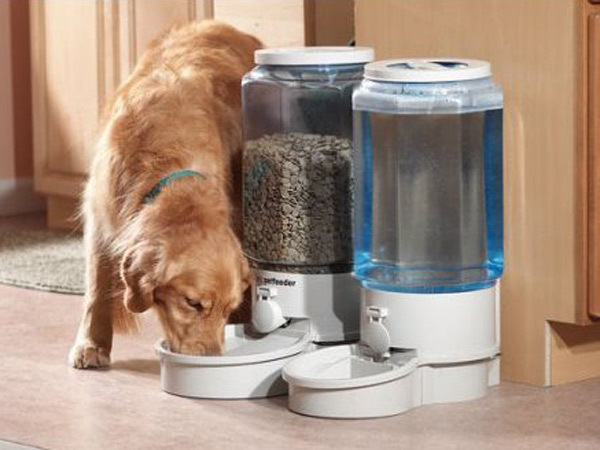 Собака также прекрасно может питаться из автоматической кормушки, как купленной, так и самодельной