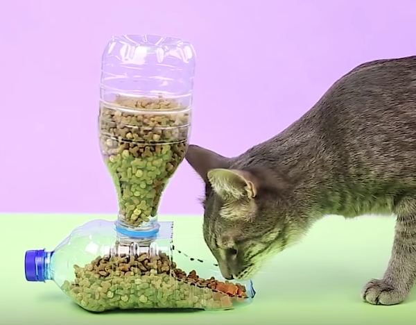Как смастерить автокормушку для кошек своими руками: ваш пушистик сможет поесть, когда захочет!