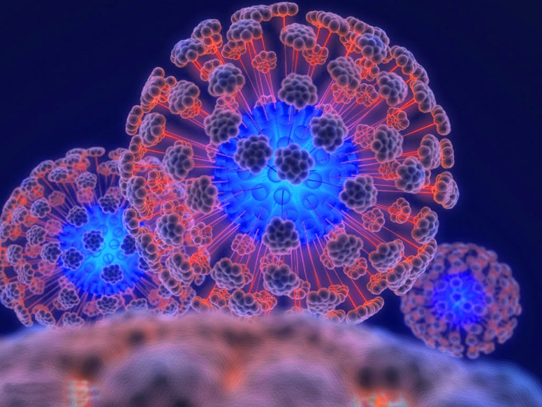 Вирусы – основная причина энтерита