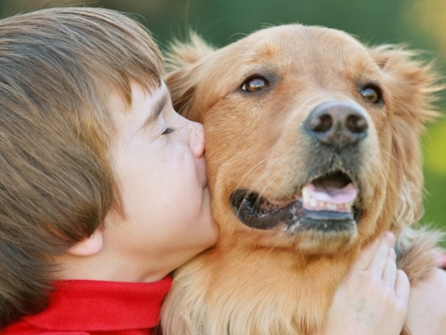Гипоаллергенные собаки вызывают аллергию реже прочих собак, но не дают гарантии отсутствия симптомов