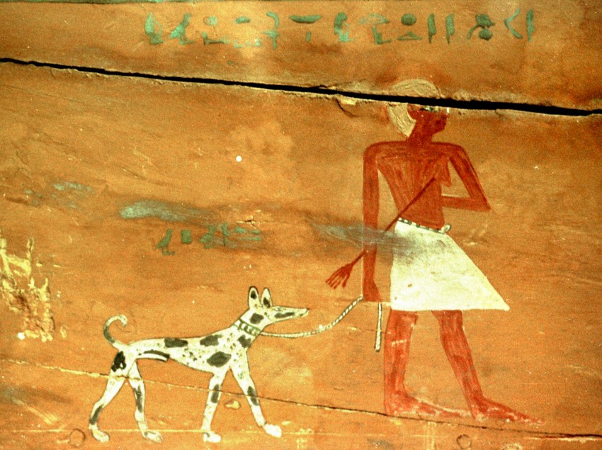 Народ Древнего Египта считал, что басенджи приносит счастье и удачу