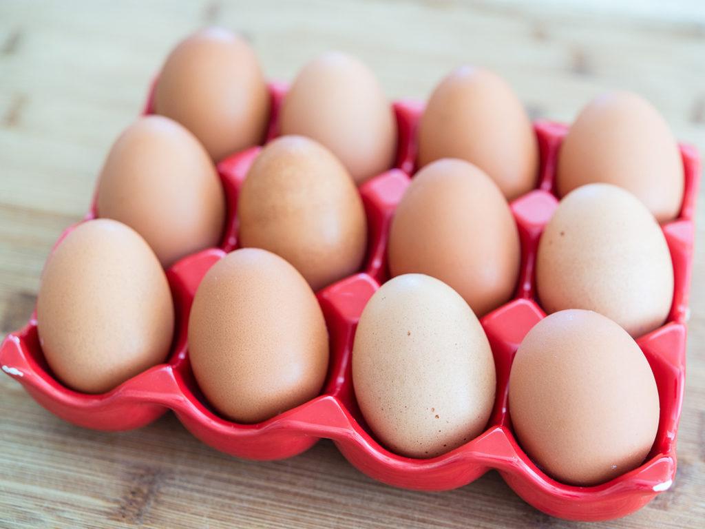 Обратите внимание на то, что сырые яйца не рекомендованы ни людям, ни животным
