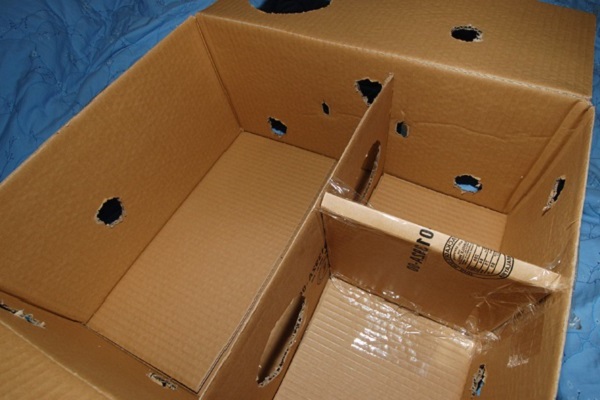 Подбирая картонную коробку, не останавливайтесь на компактных моделях - котятам нужен простор