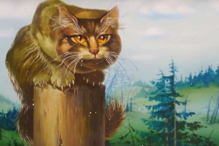 Популярный в русском фольклоре кот Баюн – трехцветного окраса