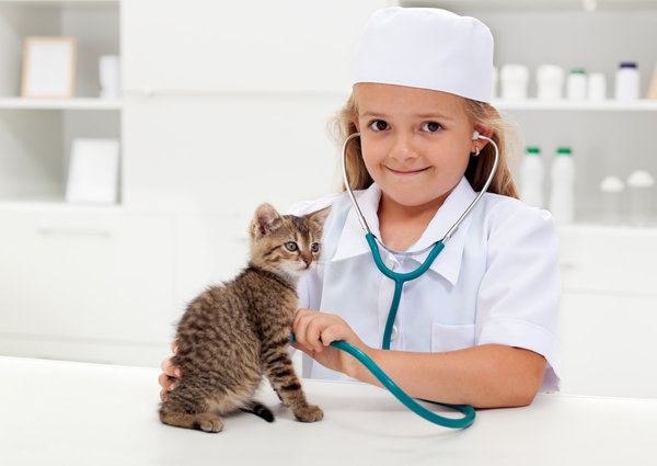  При некоторых симптомах кошку нужно немедленно показать врачу