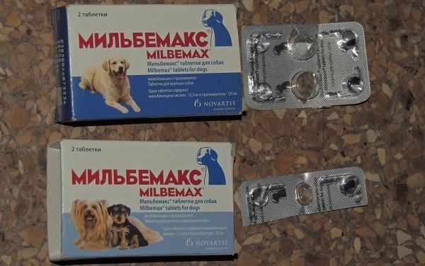 Самое безопасное средство для щенков - Мильбемакс