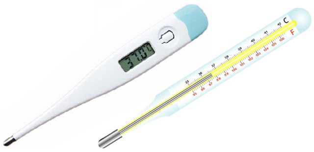 Чтобы узнать температуру у кошки, можно взять обычный или электронный градусник