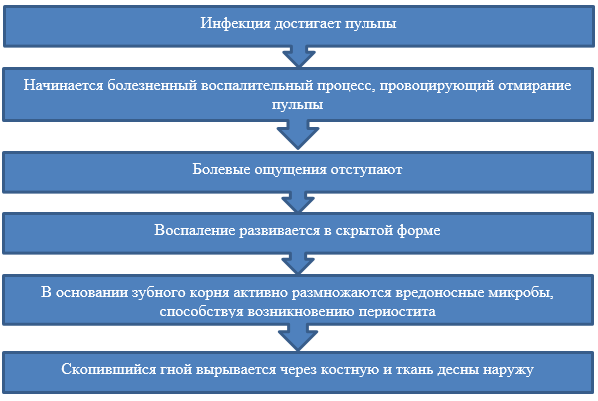 У собаки флюс что