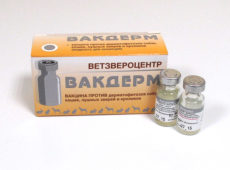 Вакдерм