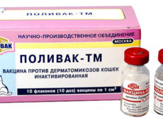 Поливак