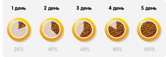 Постепенное увеличение доли сухого корма