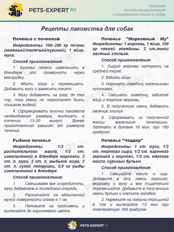 обучение щенка бигля командам. %D1%83%D0%BA%D0%BF%D1%8B%D0%B2. обучение щенка бигля командам фото. обучение щенка бигля командам-%D1%83%D0%BA%D0%BF%D1%8B%D0%B2. картинка обучение щенка бигля командам. картинка %D1%83%D0%BA%D0%BF%D1%8B%D0%B2. обучение щенка бигля командам. %D1%83%D0%BA%D0%BF%D1%8B%D0%B2. обучение щенка бигля командам фото. обучение щенка бигля командам-%D1%83%D0%BA%D0%BF%D1%8B%D0%B2. картинка обучение щенка бигля командам. картинка %D1%83%D0%BA%D0%BF%D1%8B%D0%B2.