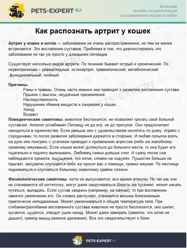 Как правильно должна сидеть кошка. Смотреть фото Как правильно должна сидеть кошка. Смотреть картинку Как правильно должна сидеть кошка. Картинка про Как правильно должна сидеть кошка. Фото Как правильно должна сидеть кошка