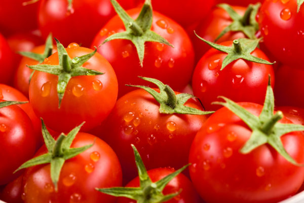 Хорошей профилактикой зубного камня является томатный сок или свежие томаты, присутствующие в рационе питомца
