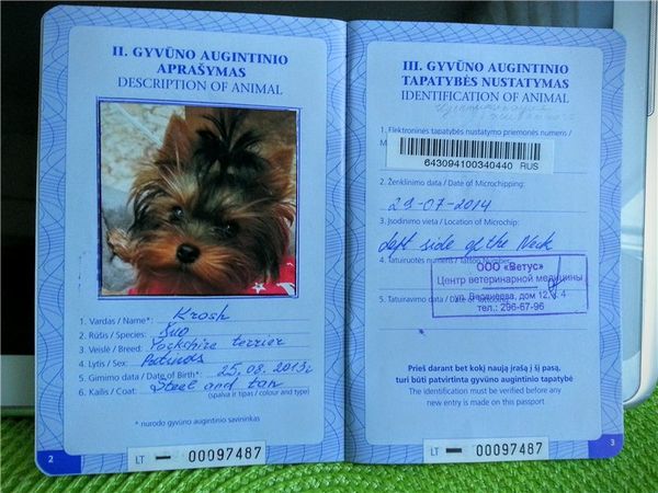 Ветеренарный паспорт для собак