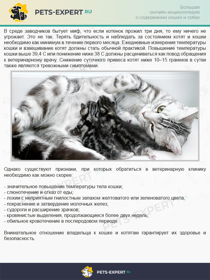 Когда необходимо обратиться к ветеринарному врачу