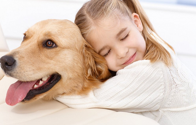 На момент лечения собака не должна контактировать с детьми