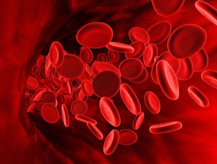 Нарушение свертываемости крови часто имеет генетические предпосылки