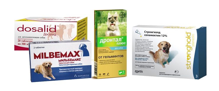Препараты для борьбы с глистами для собак