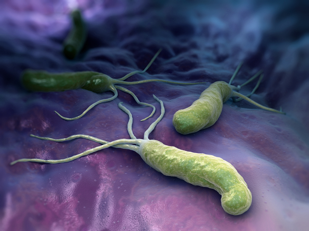 При заражении бактерией хеликобактер назначают курс антибиотиков