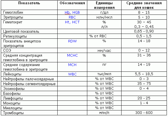 Разобраться в результатах анализов бывает совсем не просто