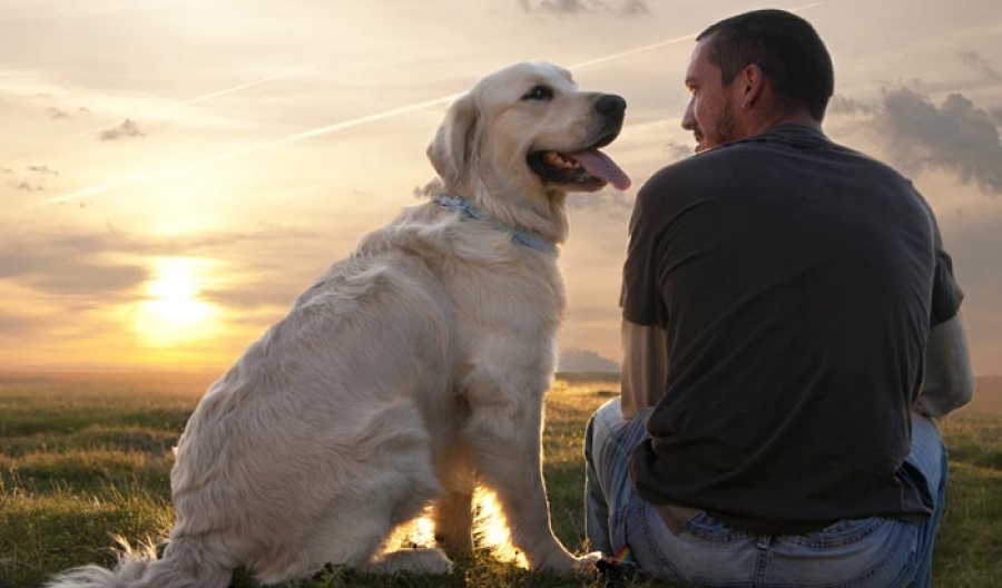 Собака с хорошим воспитанием уважительно относится к хозяину и членам его семьи