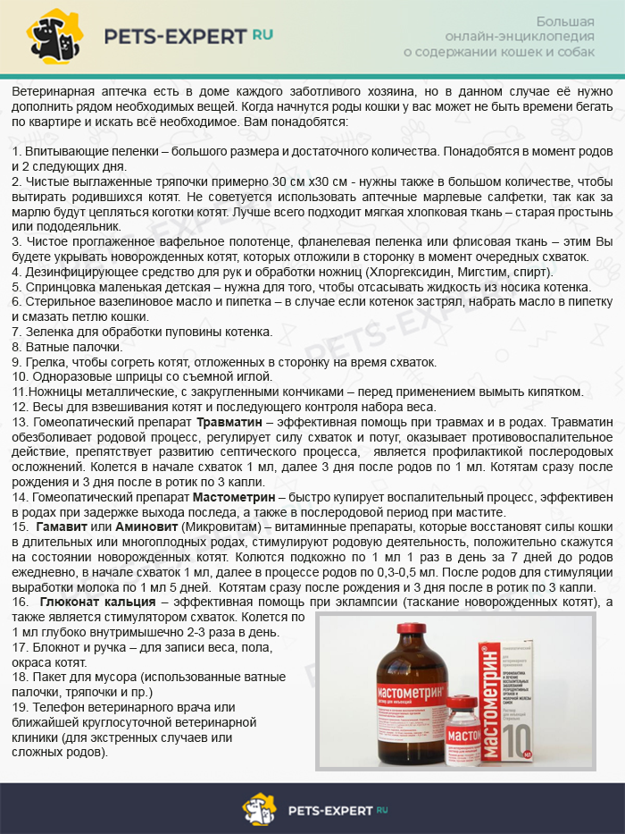 Что нужно для родов кошки