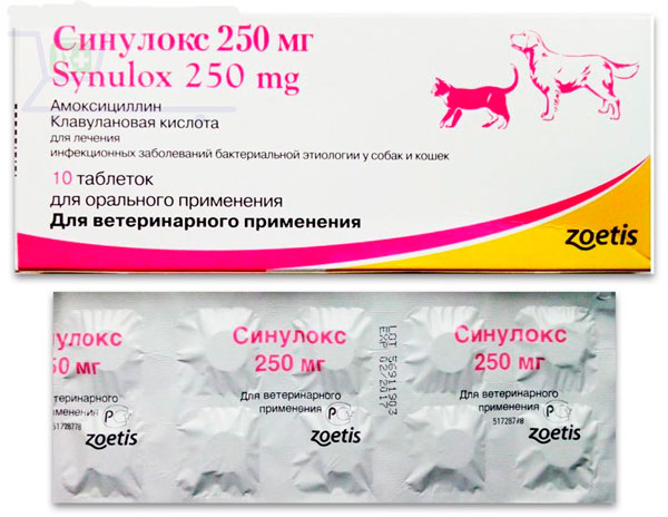 Синулокс выпускается в форме таблеток и суспензии