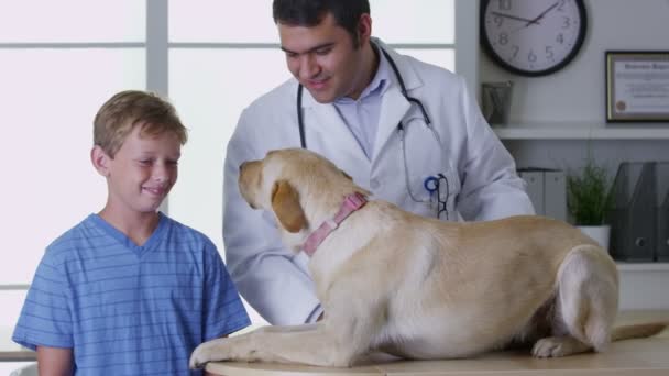 Если у собаки проявляются признаки бурсита, следует как можно быстрее показать ее ветеринару